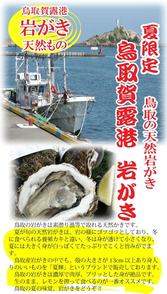鳥取賀露港　天然岩がき「夏輝」　3~5個セット