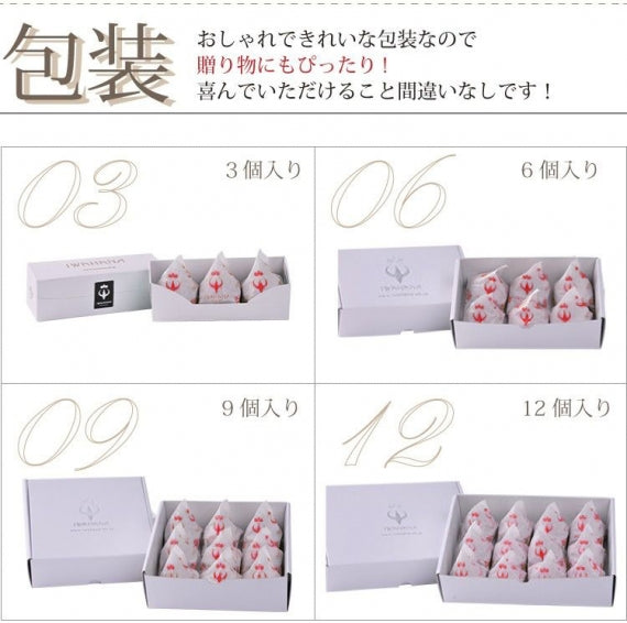 【母の日】IWAHANA 焼きモンブラン詰合せ9個入　贈答　プレゼント【スイーツ・洋菓子】