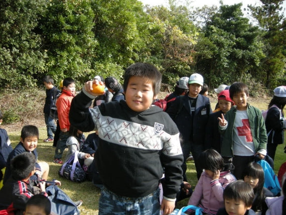 【秋のみかん】家庭用！採りたて（5kg箱40～60個）ミカンらしいお味です！送料無料一部地域除く・【家庭用選別】