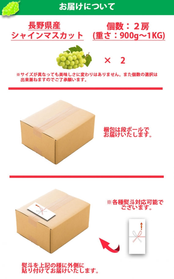 【送料無料】【長野県産シャインマスカット★900g～１㎏(2房)】大粒で味も香りもよし！種なしで皮ごと食べることができます。※9月中旬から順次発送