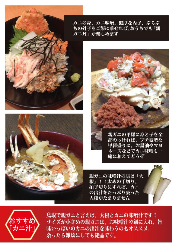 松葉ガニ漁解禁！　親ガニ（セコガニ）10枚セット【生／茹で】