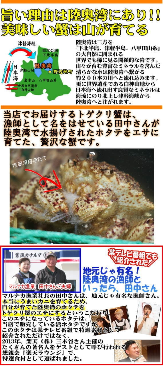 青森の毛蟹 トゲクリ蟹 オス 1キロ 約3杯～6杯 送料無料【トゲクリガニ 毛蟹 トゲクリカニ】