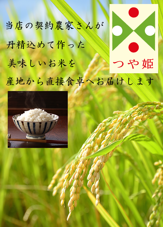 令和六年産米!山形県産「つや姫」10Kg(5Kg×2) | 47CLUB – 名産 令和六年産米!山形県産「つや姫」10Kg(5Kg×2) | 47CLUB – 名産