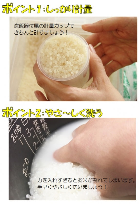 令和6年産　南魚沼産こしひかり（南魚沼地区限定）　5kg