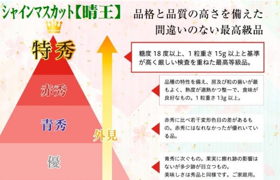 岡山県産 シャインマスカット【晴王】はJA全農おかやま登録品種です【青秀】5房（約2kg）皮まで食べれて種無し高糖度ぶどうです【発送は8/20から】