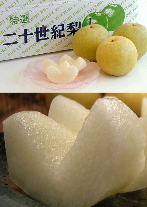 【発送は９月上旬から】「JA鳥取の二十世紀梨」【青秀】約10kg（2Lサイズ・32個入り）果実の中で随一とも言えるジューシーさは喉の渇きを潤せるほどです。