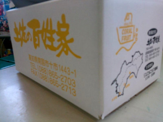 【お徳用】【温室育ちの水晶文旦】（お徳用Ｌ～３Ｌ混合）たっぷり4.5キロ以上入り、「送料込一部地域を除く」