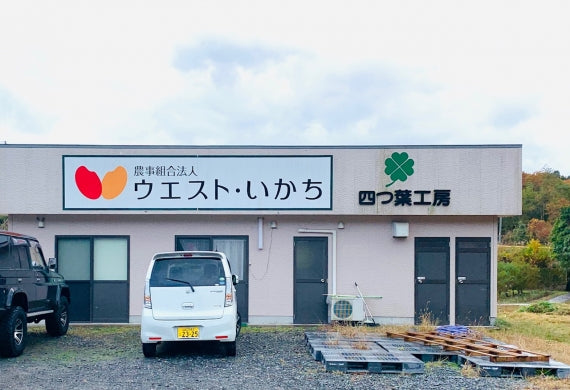 極上伊陸米(いかちまい)セット！(コシヒカリとふりかけとカレー) ※送料込価格！