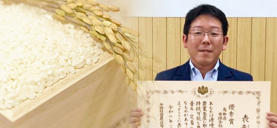 鳥取県産ひとめぼれ白米20kg