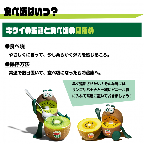 【母の日ギフト対応】【送料無料】ゼスプリ サンゴールドキウイ