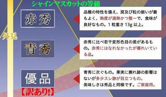 岡山県産 シャインマスカット【晴王】はJA全農おかやま登録品種です【訳あり】1房（約700g）
