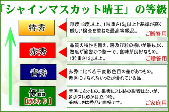 岡山県産 シャインマスカット【晴王】【青秀】2房（約1.2kg）JA全農おかやま【発送は8/20から】