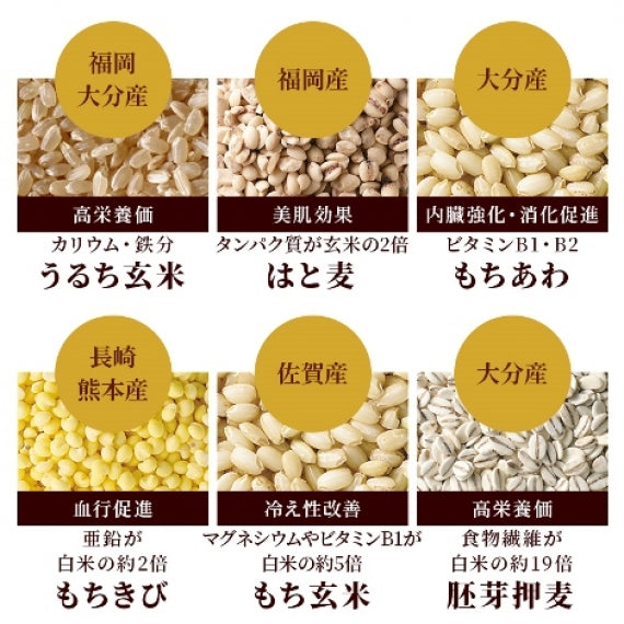じゃがいも入り十五穀米おかゆ 200g  (4パック)【メール便発送】【送料無料】【レトルト】【常温長期保存】【お試し】
