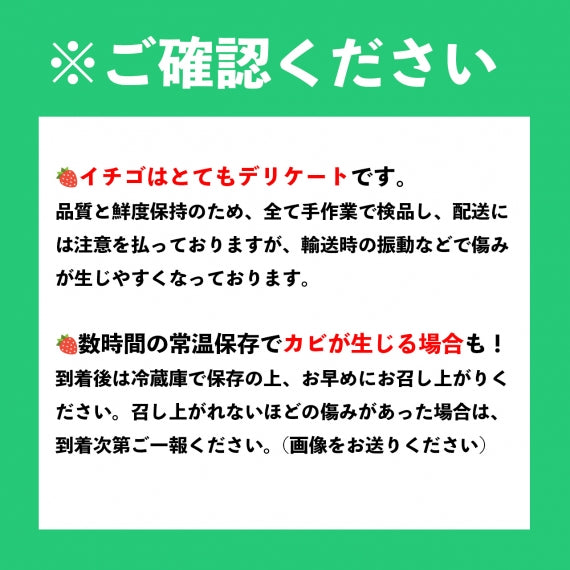 【予約販売】福岡産 あまおういちご