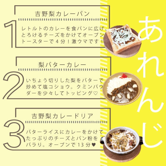 【カレー好きにおすすめ！】コクと深みのある『吉野梨カレー』180ｇ×5