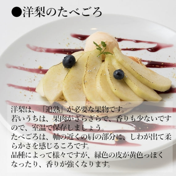 【送料無料】旬の洋梨 【贈答人気】【季節お薦め】【秋】【フルーツ】