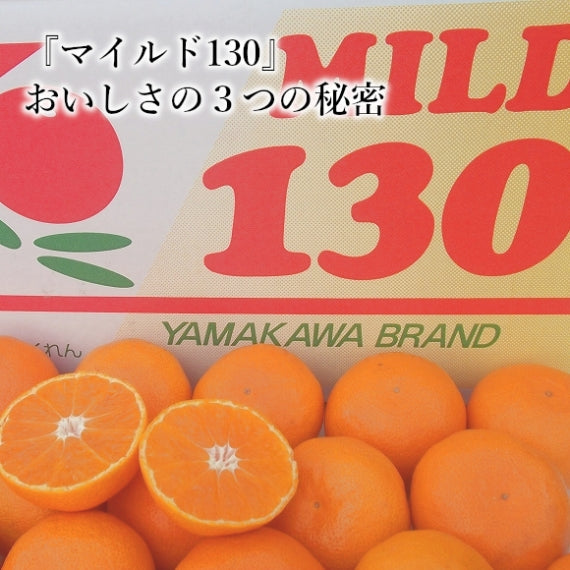 【予約販売】山川みかん マイルド130【フルーツ】