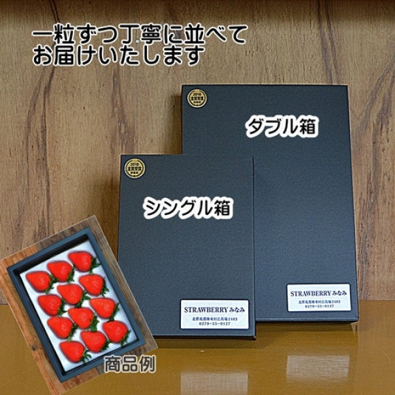 【予約受付中】とちおとめシングル×2箱(発送時期:2024年12月～）【送料込み】