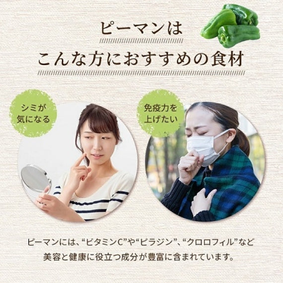 100％ ピーマン パウダー 50g 2パック 【送料無料】【常温長期保存 】【産地直送】
