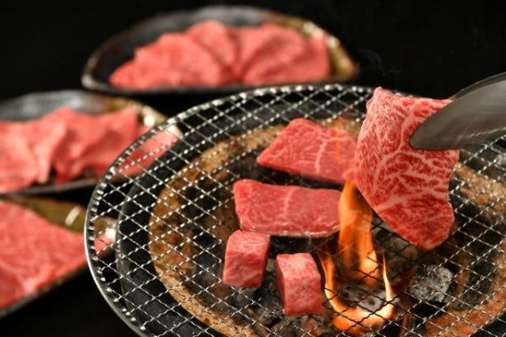 松阪牛焼肉用（肩・モモ・バラ）500ｇ