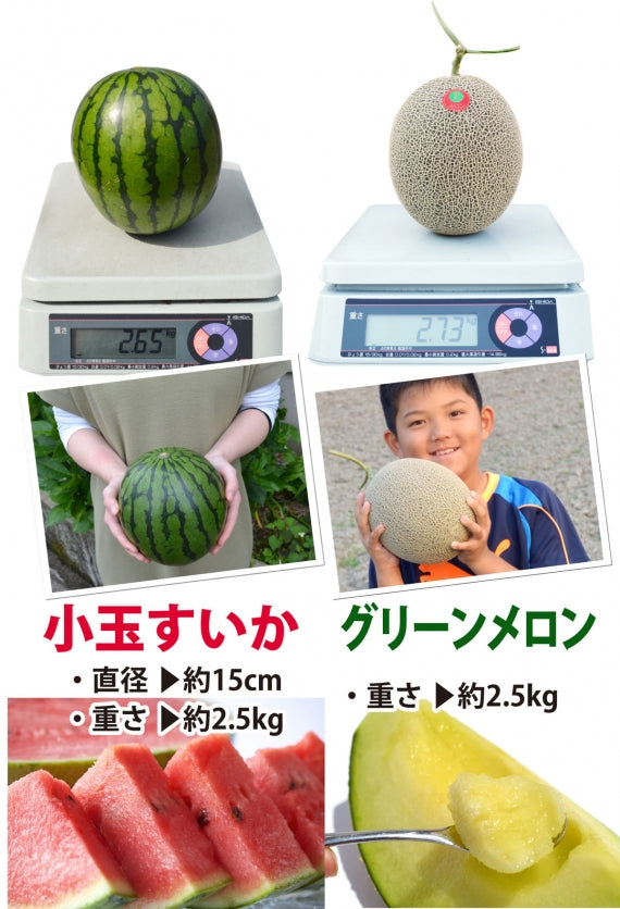 完熟小玉 すいか＆大玉グリーンメロン【約2.5kg×各1玉】＜熊本県産＆長崎県産＞