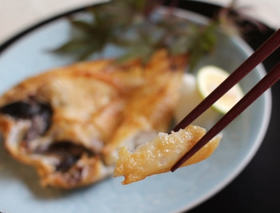日本海の国産高級魚のどぐろ！食塩のみでのどぐろの旨みを引き出した一夜干し【送料込み】（北海道・沖縄は８８０円（消費税込み）加算となります。）