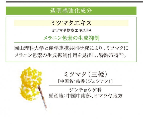【結の香 YUNOKA】 ミツマタエキス配合 ホワイトリフトローション＜化粧水＞ ＜お得な3本まとめ買い＞【生活用品・工芸品】