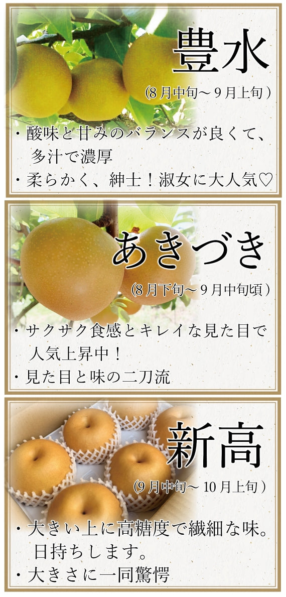 【今が旬！】上品な甘みでジューシー♪熊本県産　吉野梨4㎏