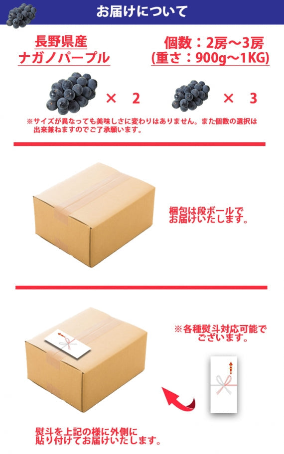 【売り切れ】【送料無料】長野県産ナガノパープル★900g～１㎏(2～３房)】長野県生まれの種なし・皮ごと食べることができる黒い葡萄です★※9月上旬から順次発送