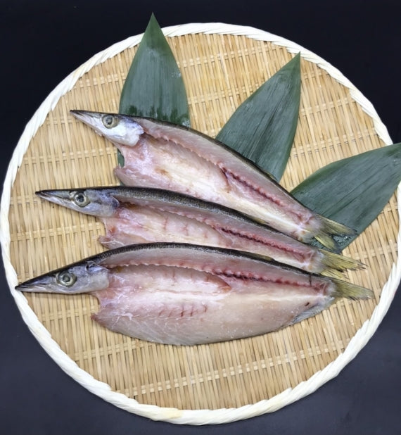 【送料無料】ひもの バラエティセット （湘南魚類厳選の小田原加工干物セットです）