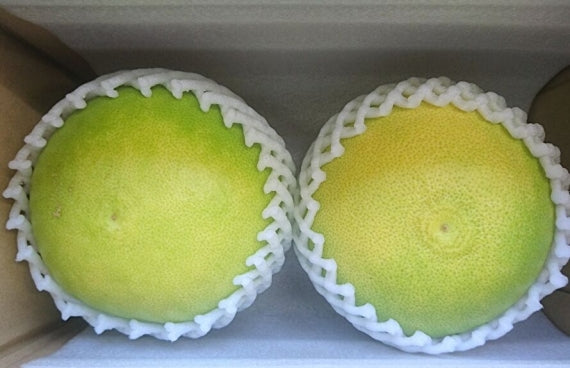 【お試し】大玉【温室育ちの水晶文旦】3Lサイズ2個入り、「送料無料一部地域を除く」