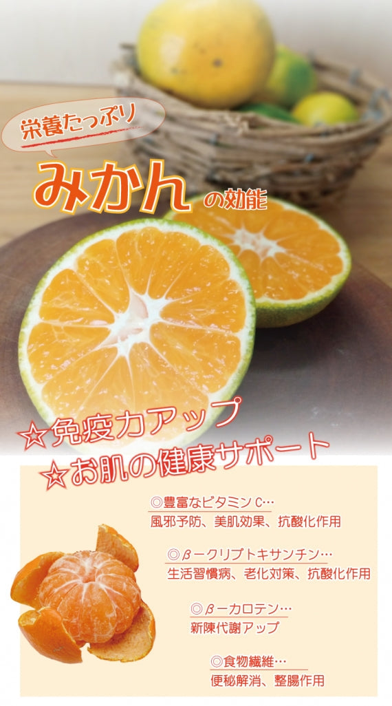 熊本県　産地直送！甘くて程よい酸味の『極早生みかん』　10㎏＝今シーズンの販売は終了＝