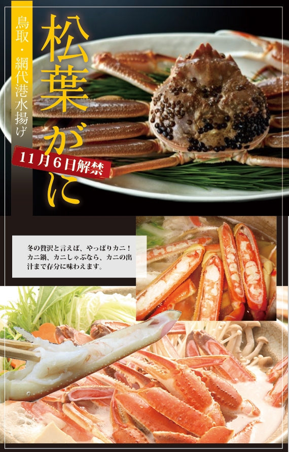 ★訳あり★お得な松葉ガニ（中/450-600g）✕2枚セット【生／茹で】