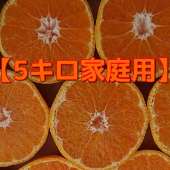 【わけありお徳用】【龍馬感激こつぶちゃん】（5kg箱）小さな体にギュッと美味しさが詰まってます！送料無料(一部地域を除く）【家庭用選別】【フルーツ】