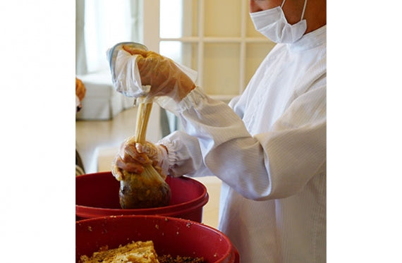 日本蜜蜂のはちみつ