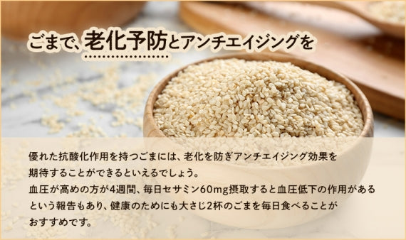 「衝撃のごま」ごまかつお90ｇ【京都 錦市場 櫂 KAI】