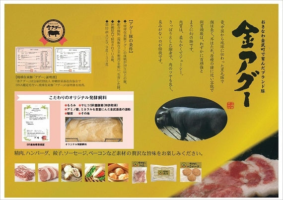 金アグー三種セット（ハンバーグ2個　ソーセージ12本　餃子12個）　あぐー豚肉人気商品【送料無料】