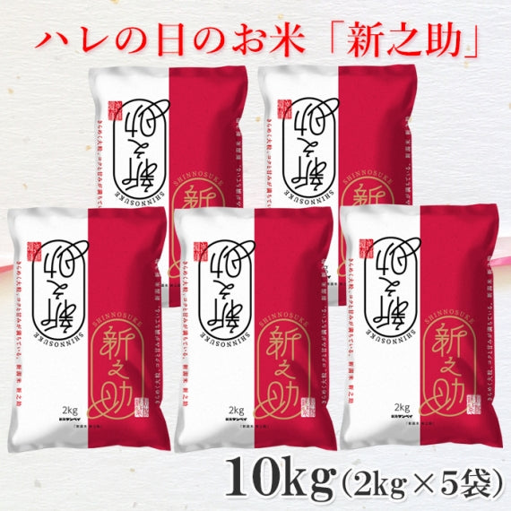【送料込】米 10kg （2kg×5袋） 令和6年産 新之助 新潟県産 お米 ブランド米 精米 白米 ギフト 2025 産地直送