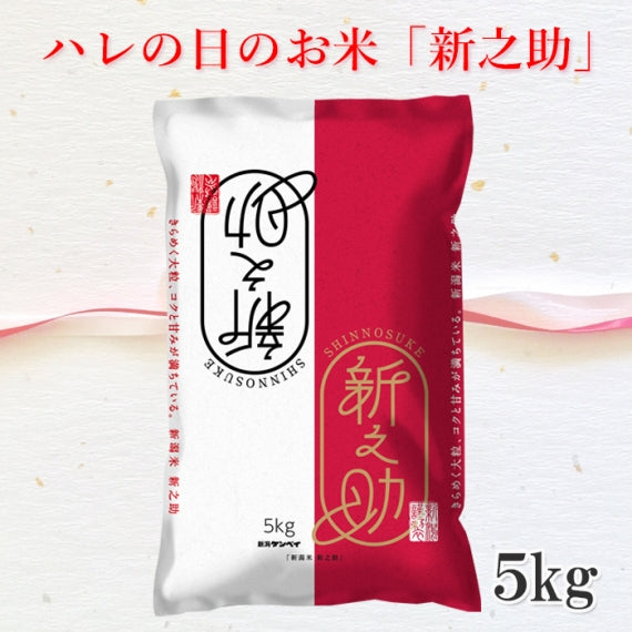 【送料込】米 5kg 令和6年産 新之助 新潟県産 お米 ブランド米 精米 白米 ギフト