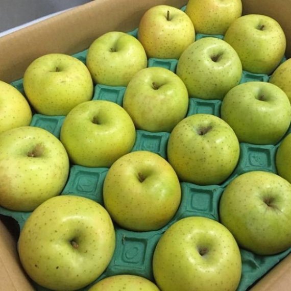 【送料無料】 旬の青りんご 【フルーツ】【グルメ】