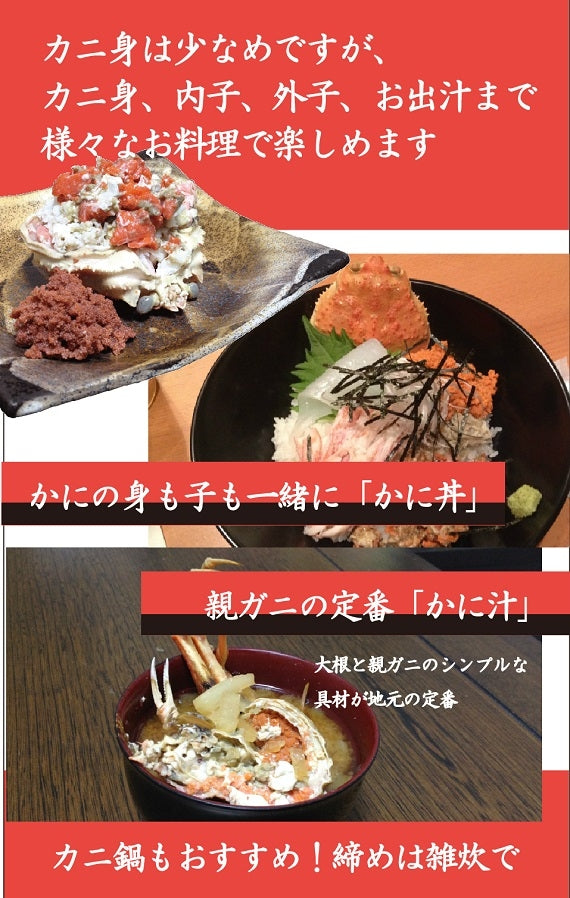 【11/6カニ漁解禁】訳あり・親ガニ（セコガニ）2kg詰合せ【生／茹で】