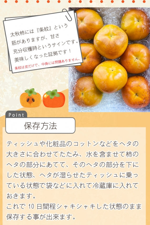 熊本自慢の逸品！秋の味覚『太秋柿』3kg