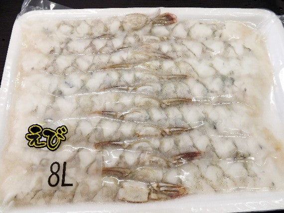 【エビフライに！】料理店卸しの「最も大きくとてもきれいなバナメイエビ15尾」【下処理、背伸ばし済みなので解凍後すぐに調理出来ます】