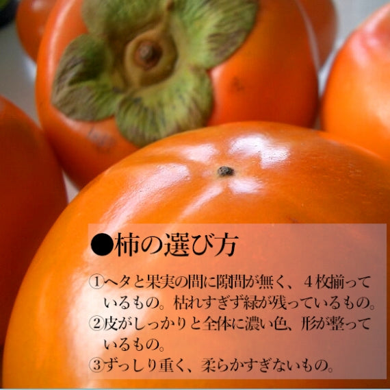 【予約販売】 福岡産 富有柿　