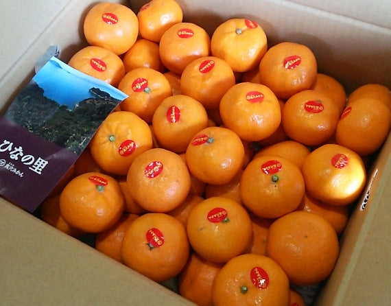 【販売中】『真穴地区の中で園地条件・生産者を限定して作ったみかん！！』「西宇和特産」ひなの里（真穴みかん ）５ｋｇ<Ｓ又はM又はＬｻｲｽﾞ>（サイズ指定不可）