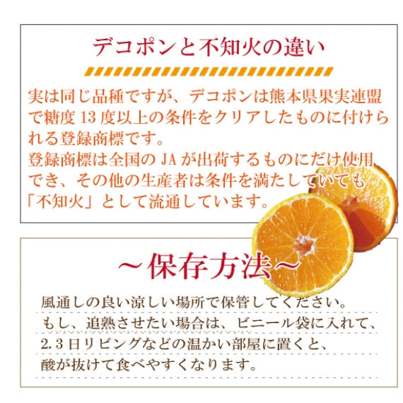 【熊本県産】デコポンと同じ品種5㎏『不知火みかん』(露地物)【今シーズンの販売は終了しました】