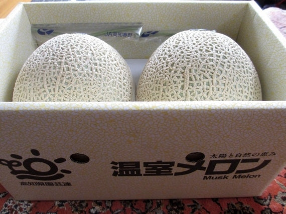 【送料込み】高知市春野町　北村さんのマスクメロンＡ品　大玉２玉入り