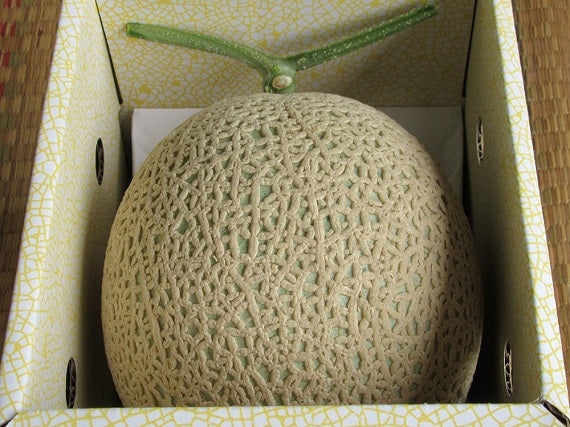 【送料込み】北村さんのマスクメロンＡ品大玉　１玉入り