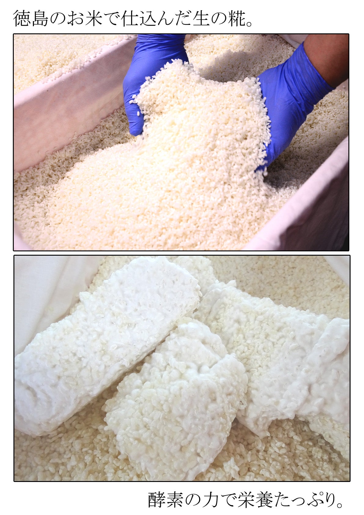 生糀　（1ｋｇ）※ご予約注文※