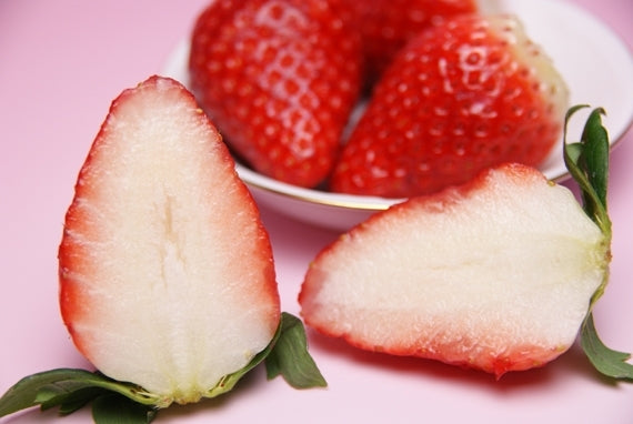 人気NO.1 岡山県産 【真っ赤な大粒いちごビックリバスケット入り】約900g★凝縮されたジューシーな美味しさが最高です！発送は１１月下旬から